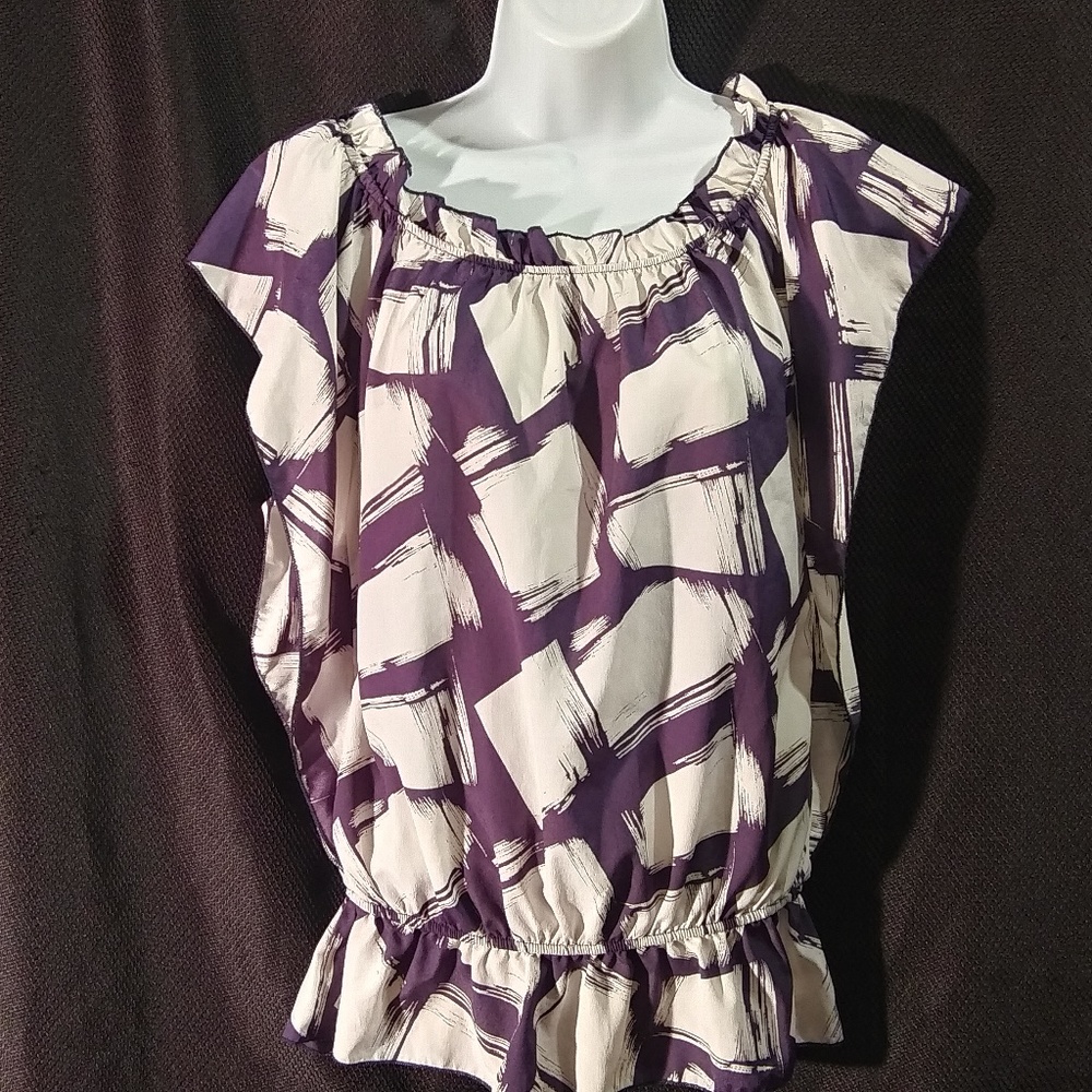 Blue Sketch Sheer Blouse